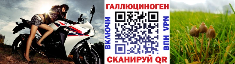 Галлюциногенные грибы MAGIC MUSHROOMS  как найти закладки  Богучар 